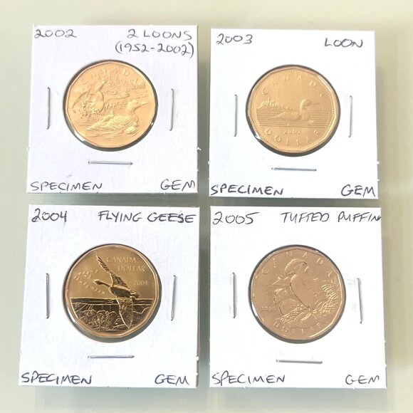 2002, 2003, 2004 and 2005 Canada Special Edition Specimen $1 Dollar Loonies! - Picture 1 of 10